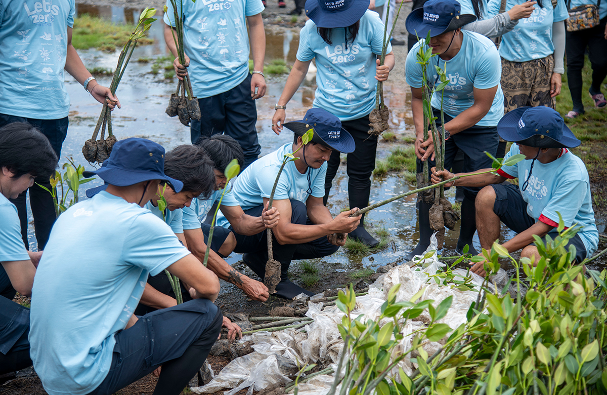 Delta CSR mangrove reforestation