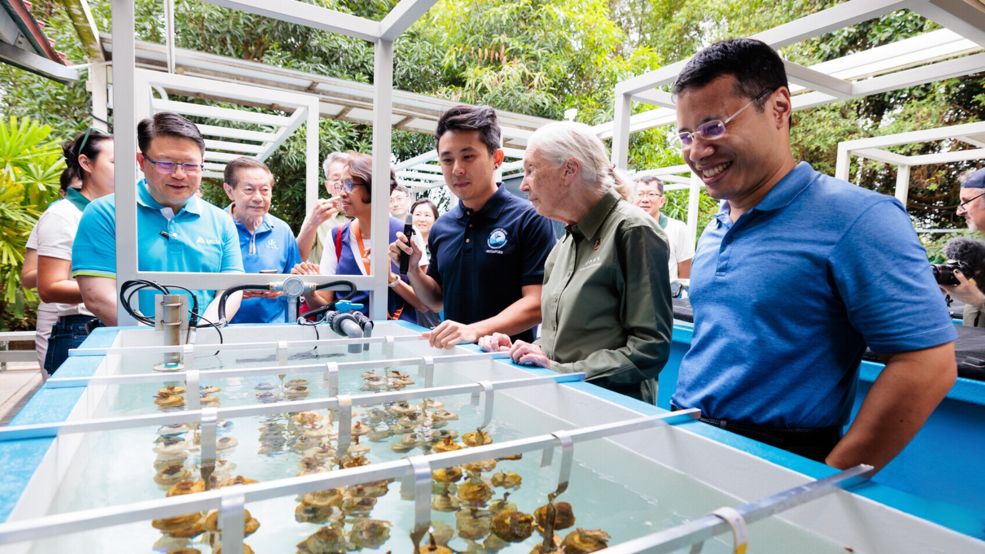 Singapore Npark Coral Reefs